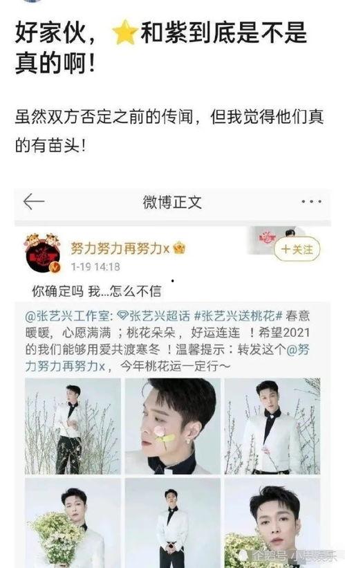 真千金爆料引全家吃瓜视频,一场家庭风波的揭秘之旅