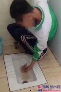 吃粪便的视频,一场关于消化奥秘的视觉之旅