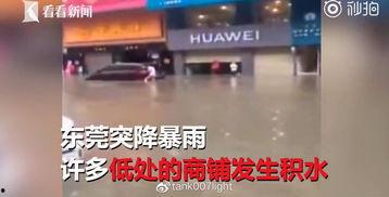 东莞小视频,捕捉城市生活瞬间，展现活力东莞风采