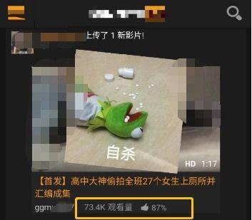 黄色视频免费在线,风险与警示