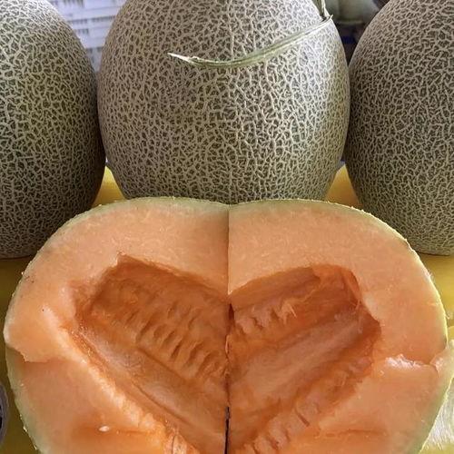 今日哈密瓜多少钱,行情如何？