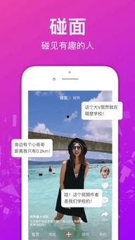 免费小视频,轻松获取知识的便捷途径
