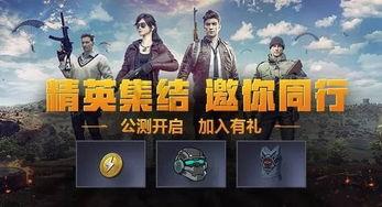 和平精英吃瓜爆料微信,吃瓜爆料，揭秘游戏幕后故事