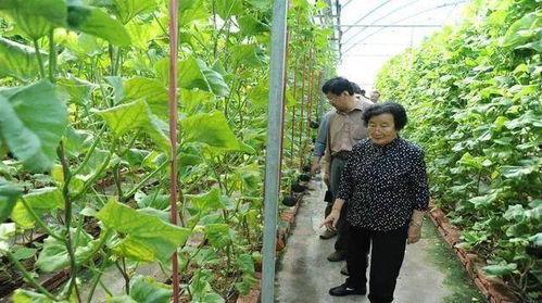 国外吃瓜爆料盘点是真的吗,真相与谣言的辨析盘点