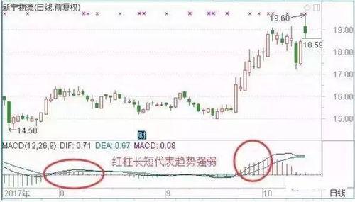 深圳今日头条卖瓜事件,网络舆论与道德底线碰撞