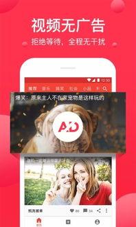 西瓜视频电脑版下载,轻松获取海量视频资源