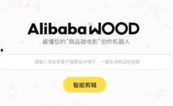 阿里视频,探索数字娱乐新纪元