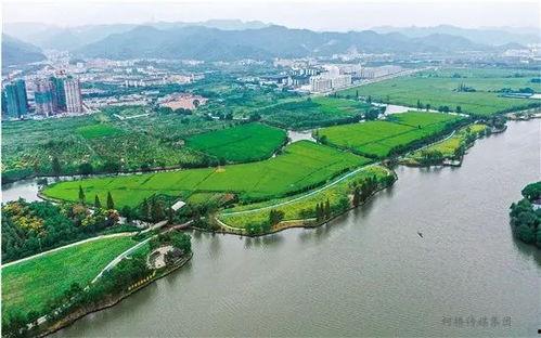 绍兴瓜沥山今日新闻,探寻古韵新篇，瓜沥山焕发时代光彩