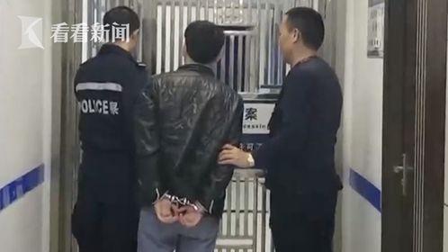 夜夜摸视频,揭秘短视频背后的秘密与魅力