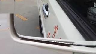 科目二s弯教学视频,科目二教学视频精华回顾