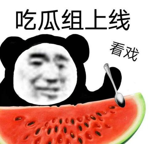 爆料黑料吃瓜,爆料黑料背后的真相与争议