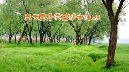 春天的视频,跟随视频探寻春天的魅力