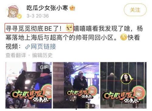 狗仔今日爆瓜视频,今日爆瓜视频幕后真相大曝光