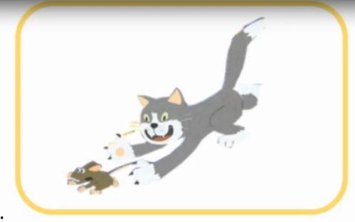 猫捉老鼠视频,一场欢乐的追逐大戏