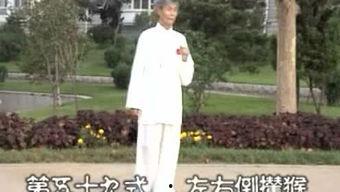 杨式85式太极拳视频,传承经典，动静结合的养生之道