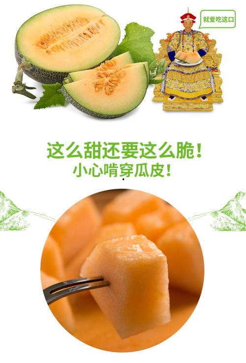 黑蜜瓜能不能蒸上吃呢,美味与营养的双重享受