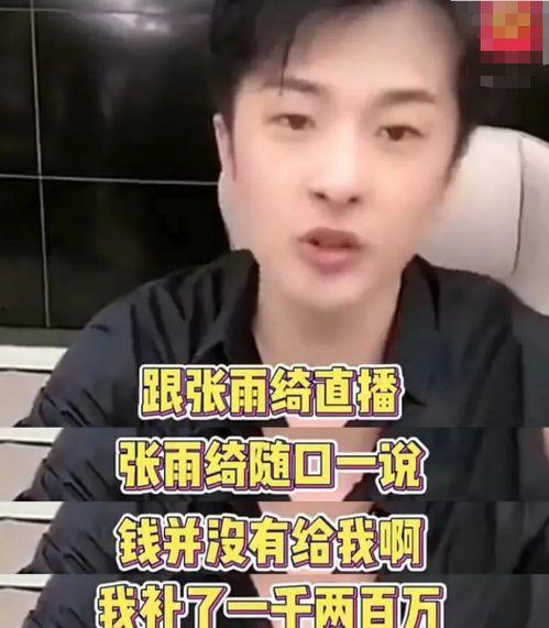 辛巴视频