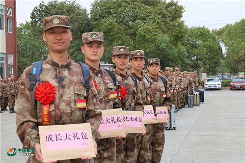 当兵训练视频,当兵训练视频深度解析