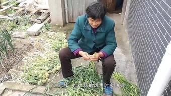 老头老太电梯活春视频,老夫妻的私密瞬间引发社会热议