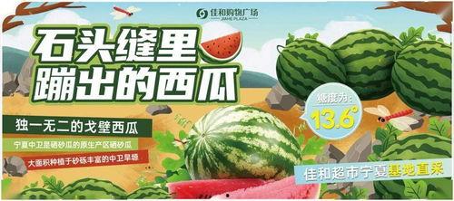 五一吃瓜今日大瓜热门大瓜,吃瓜群众热议年度大瓜盘点