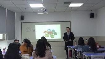 视频培训,高效学习与技能提升之道