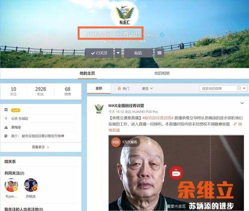 瓜哥今日播报视频回放下载,视频回放精彩内容速览
