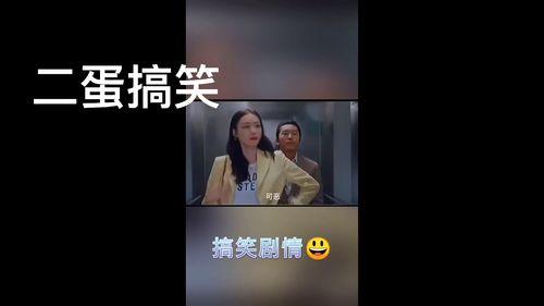 呆瓜二蛋今日视频在线观看,笑料百出，在线观看乐翻天！