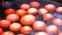 番茄小视频,轻松解锁生活小技巧