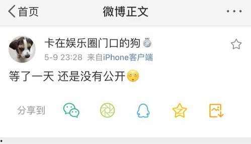 qq吃瓜爆料号图文,图文背后的惊人真相！”