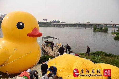 91大黄鸭视频,一场视觉盛宴的奇妙之旅