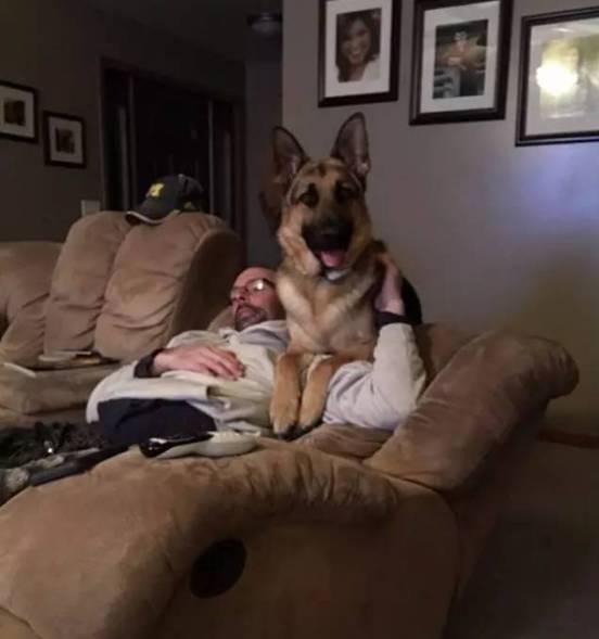 调教狗奴视频,视频背后的真实训练方法与心理洞察