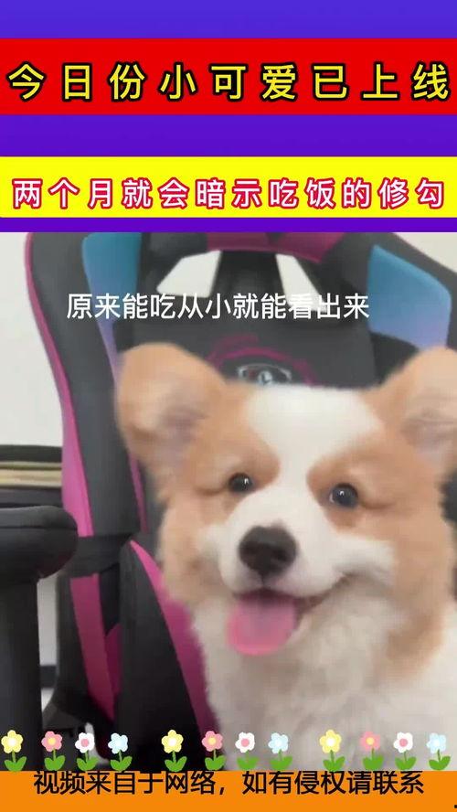 今日份小可爱已上线吃瓜,小可爱上线，精彩吃瓜不停歇