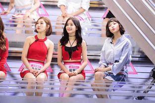 吃瓜爆料女团视频大全下载,独家揭秘