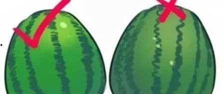 爆料吃瓜的彩虹圈博主,彩虹圈“吃瓜”背后的故事