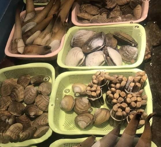 吃瓜婆黑料自取,真相与谣言的交织