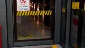 女同亲吻视频,女同亲吻视频温情回顾