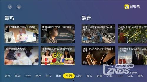 在线视频精品,内容创新与传播之道