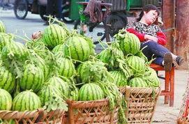 大连爆料吃瓜事件,吃瓜群众揭秘事件背后真相