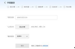 在线视频翻译,在线翻译工具如何助力跨文化交流