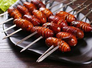 茭瓜能和大黑蛹一起吃吗,茭瓜与大黑蛹的搭配食用探讨