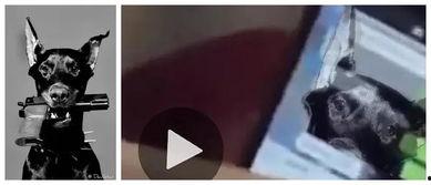 千金被爆料吃瓜视频,揭秘娱乐圈幕后真相