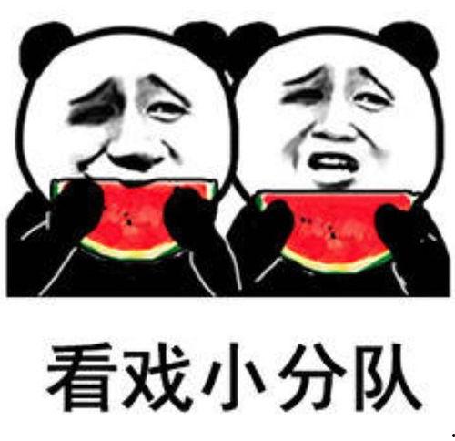 今日吃瓜啥意思,揭秘娱乐圈最新热点事件