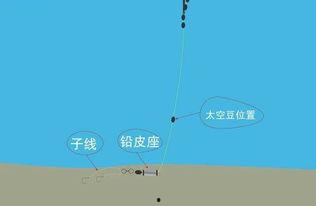 跑铅钓法视频,视频教学带你轻松掌握