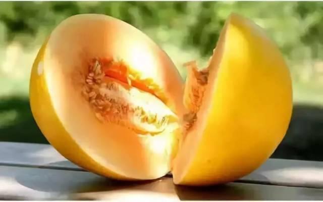 今日头条民勤蜜瓜,沙漠中的甘甜瑰宝，品味丝路古韵