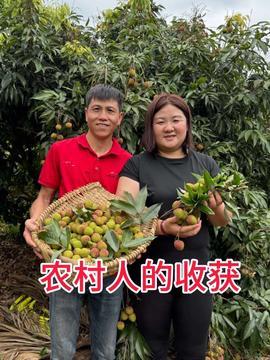 今日头条民勤蜜瓜,沙漠中的甘甜瑰宝，品味丝路古韵