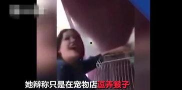 女性生殖器视频,女性生殖器结构及功能解析