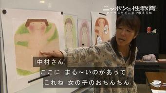 性日本视频,内容、影响与反思