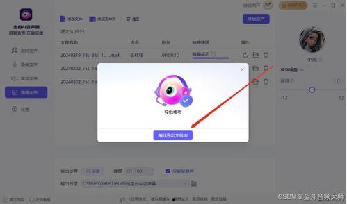 视频变声,揭秘视频变声的奥秘