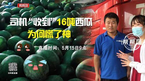 今日吃瓜完整版在线观看