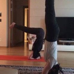 倒立视频,捕捉瞬间平衡之美